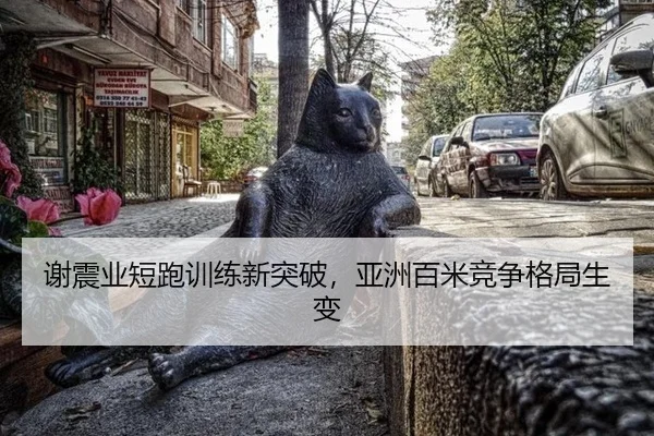 xie-zhen-ye-duan-pao-xun-lian-xin-tu-po-ya-zhou-bai-mi-jing-zheng-ge-ju-sheng-bian-3-372.jpg