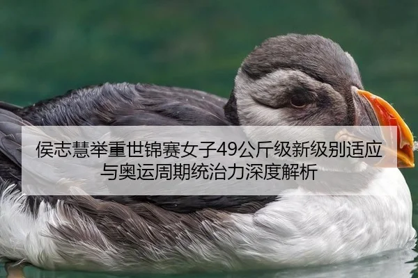 hou-zhi-hui-ju-zhong-shi-jin-sai-nv-zi-gong-jin-ji-xin-ji-bie-shi-ying-yu-ao-yun-zhou-qi-tong-zhi-li-shen-du-jie-xi-2-341.jpg