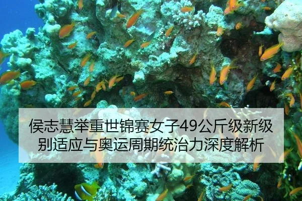 侯志慧举重世锦赛女子49公斤级新级别适应与奥运周期统治力深度解析