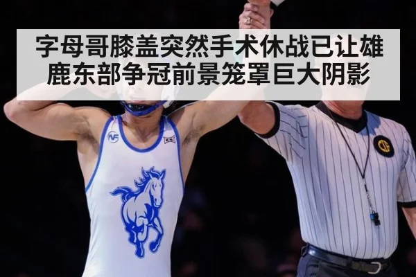 字母哥膝盖突然手术休战已让雄鹿东部争冠前景笼罩巨大阴影